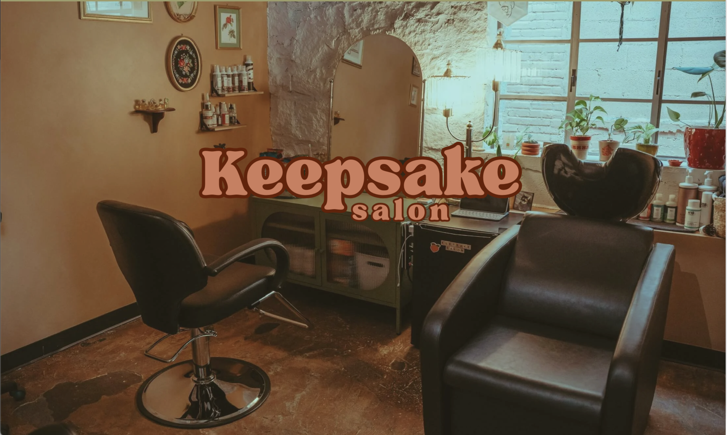 Interior view of a hair salon with a styling chair, a sink for washing hair, and various products on shelves and counter. Natural light coming through a window with potted plants.
