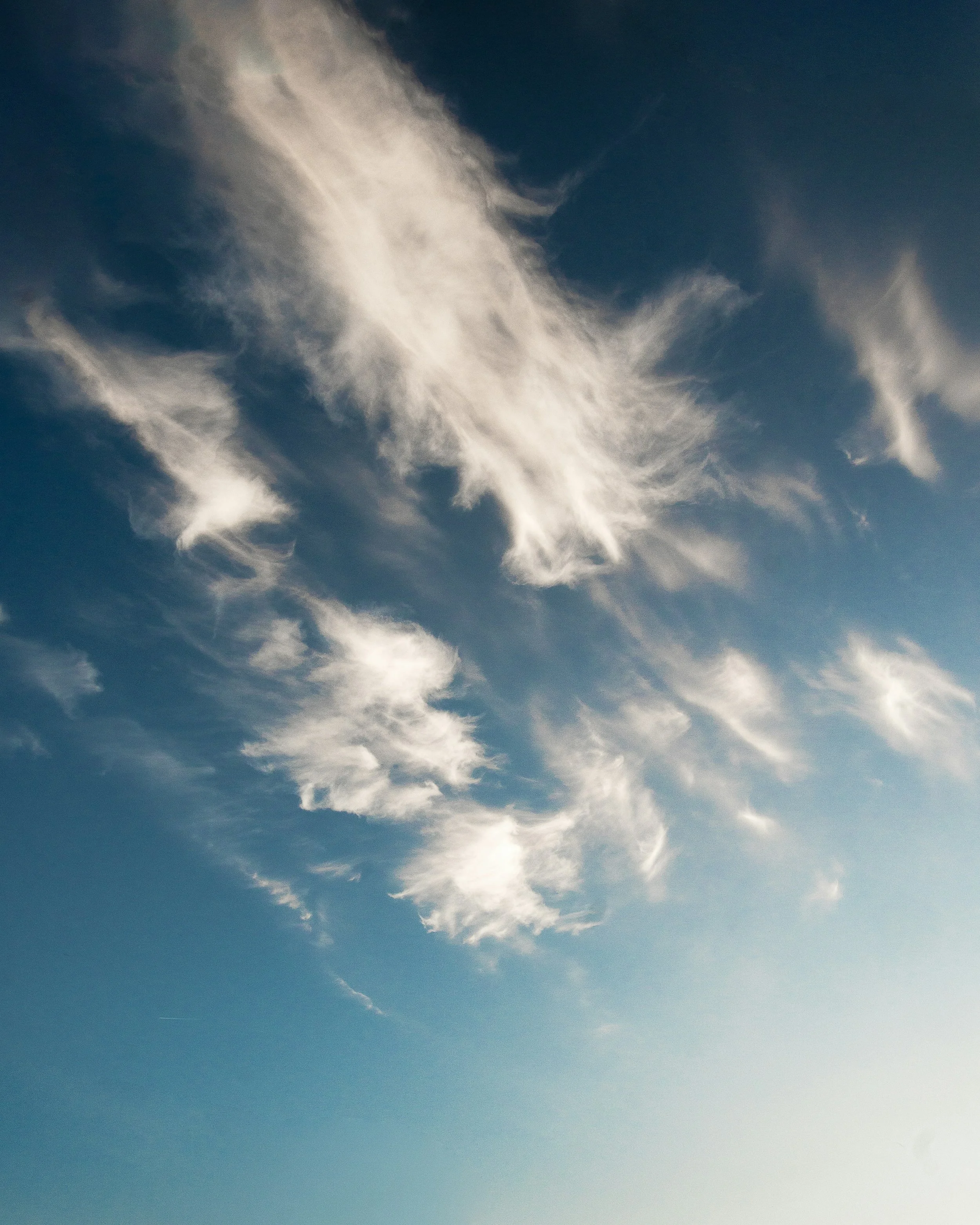 Somatic therapy session environment calm therapeutic space