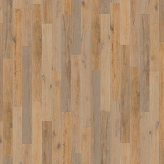 Smoked Larkspur 305-S
