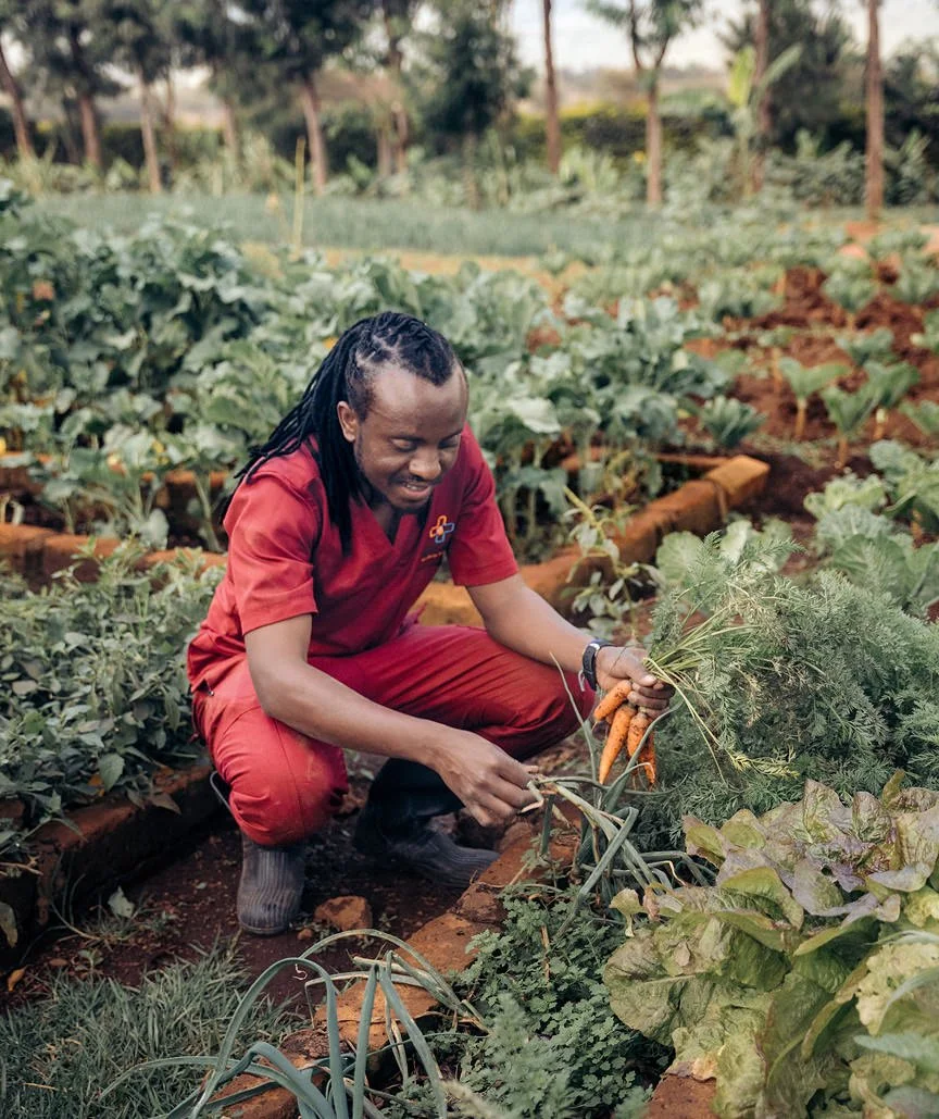 A woman harvesting carrots from a garden with lush green plants and rows of vegetables.