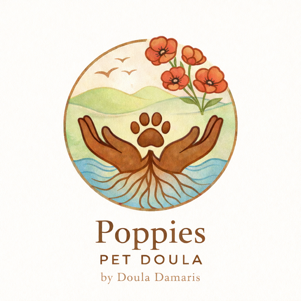 hands holding paw with roots to ocean waves. hills, birds and poppies above.