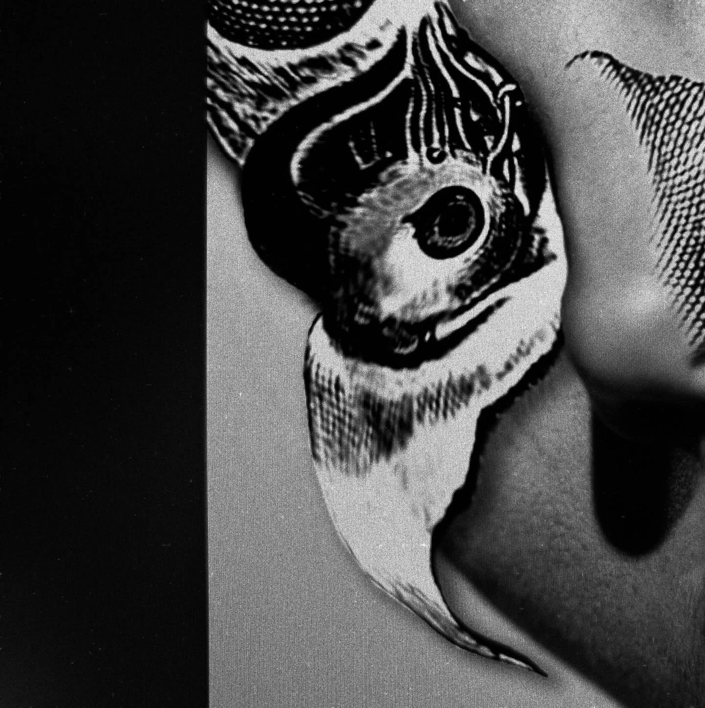 Finally working on something new that I LIKE. 💀