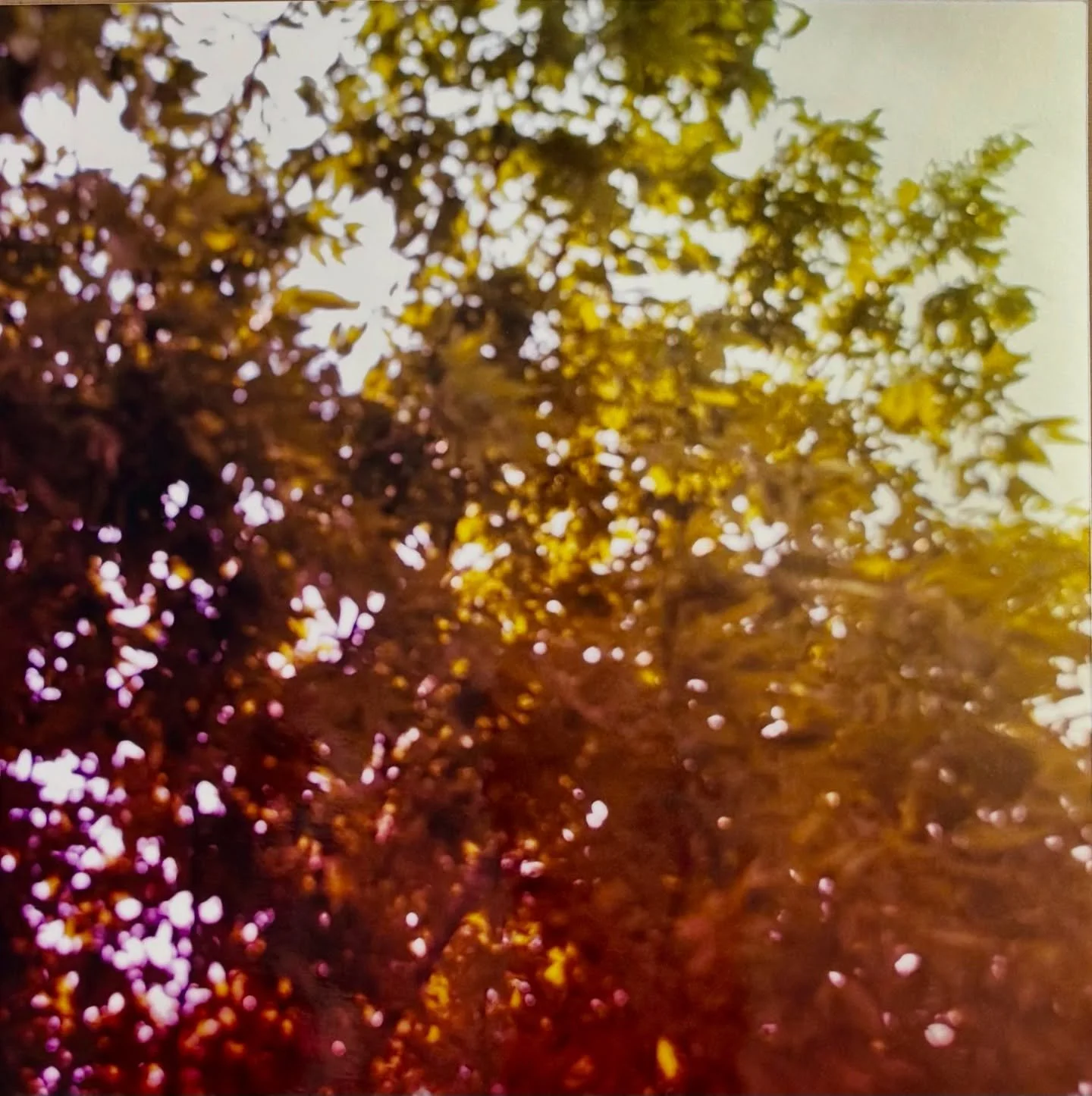 Some new prints of the Look Up series on metallic paper. DM if interested. Max size 12x12