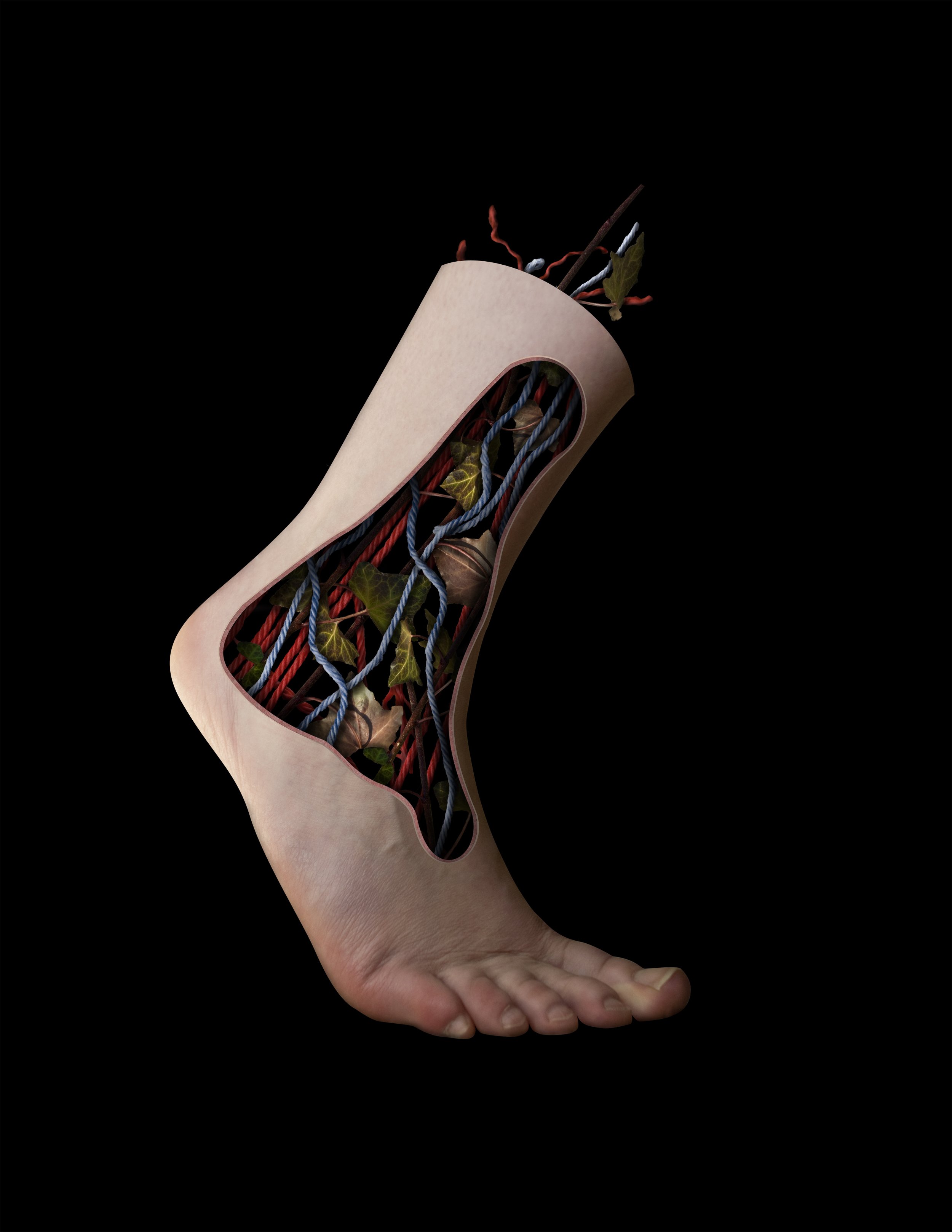 Angulus, 
20x24, digital composite