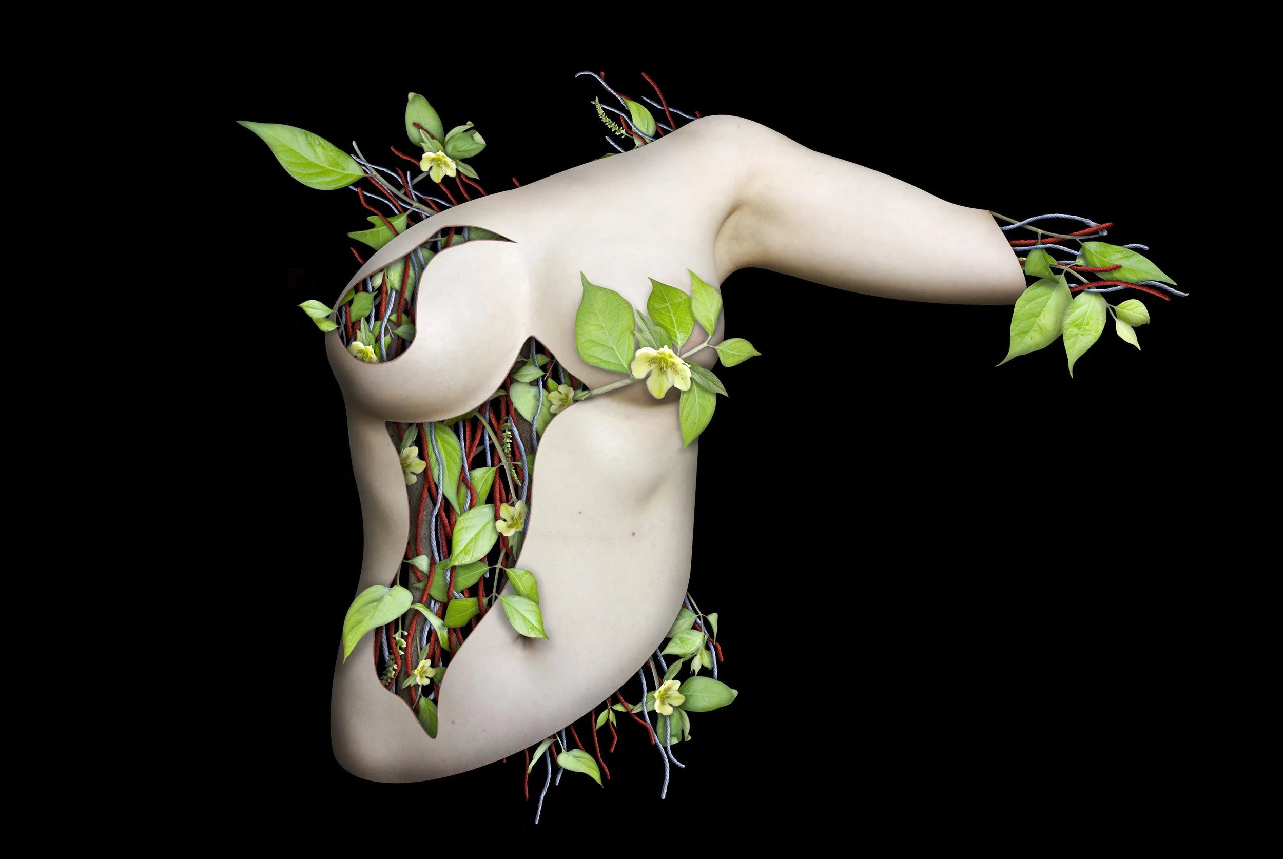 Ab imo pectore, 
20x24, digital composite