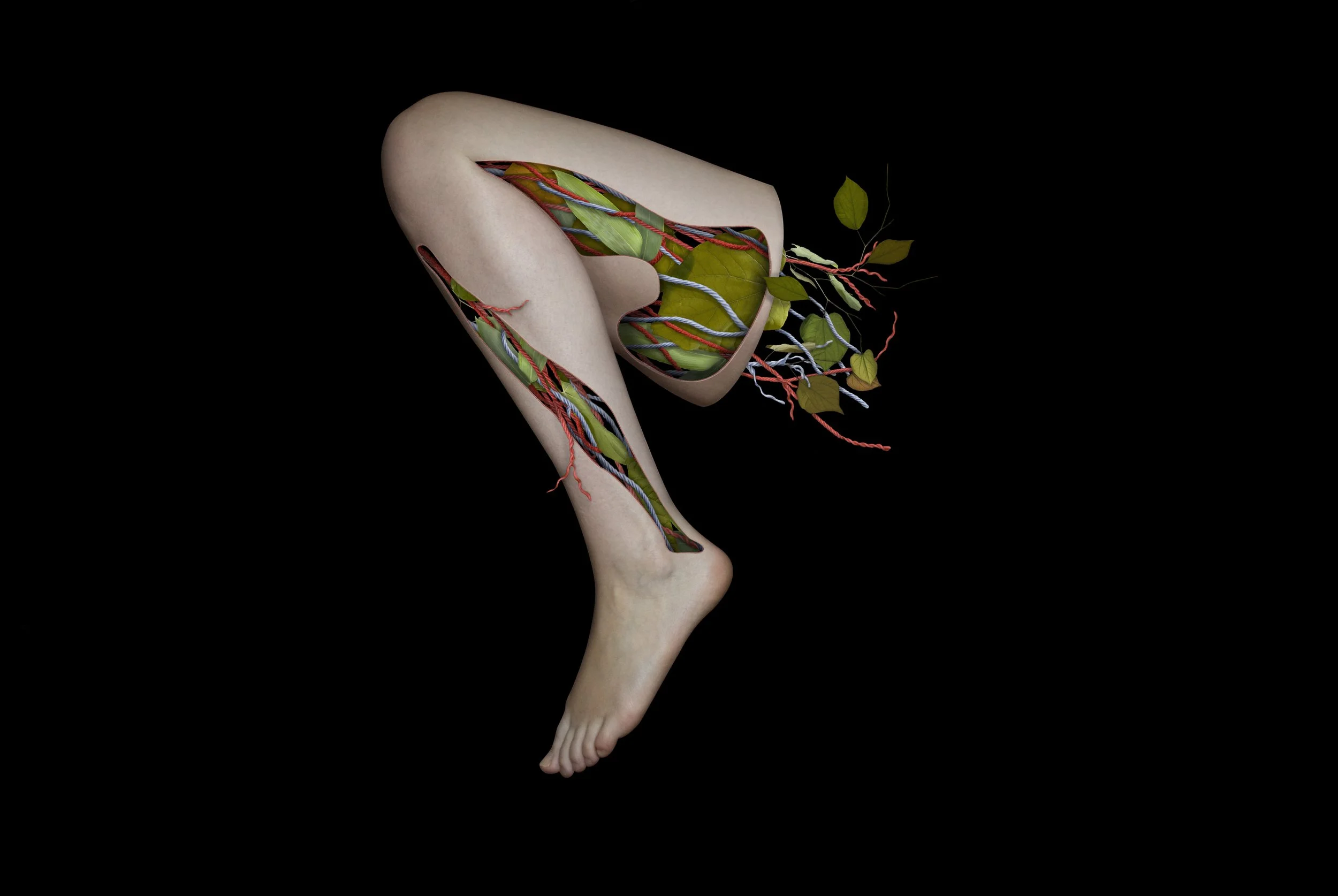 Cruris fasciae latae, 
20x24, digital composite