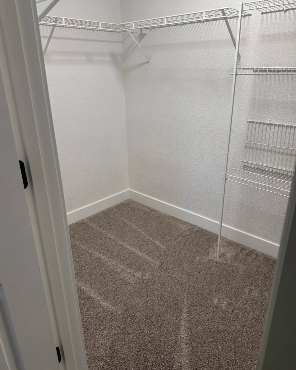 Empty walk-in closet with beige carpet, white walls, and white wire shelves.