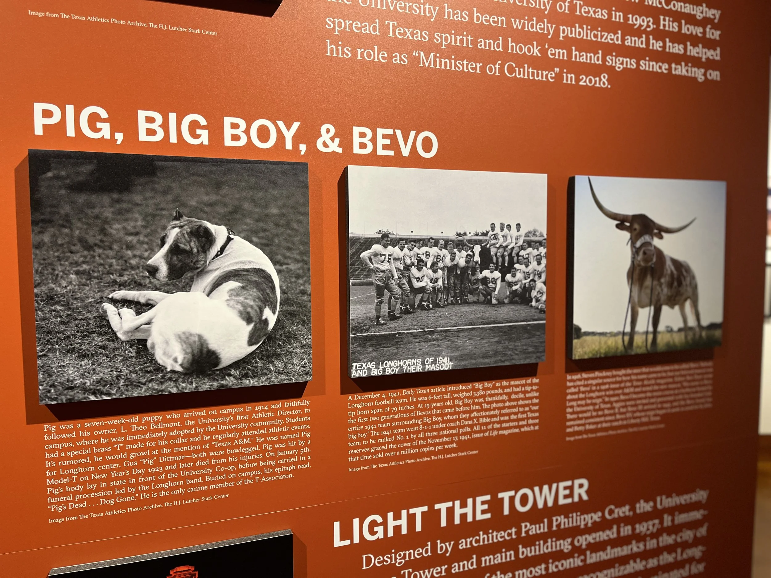 A display board with three black and white photos. The first photo shows a dog lying on the ground, the second shows a group of football players and team members on a field with some standing and some sitting, and the third shows a longhorn steer sta