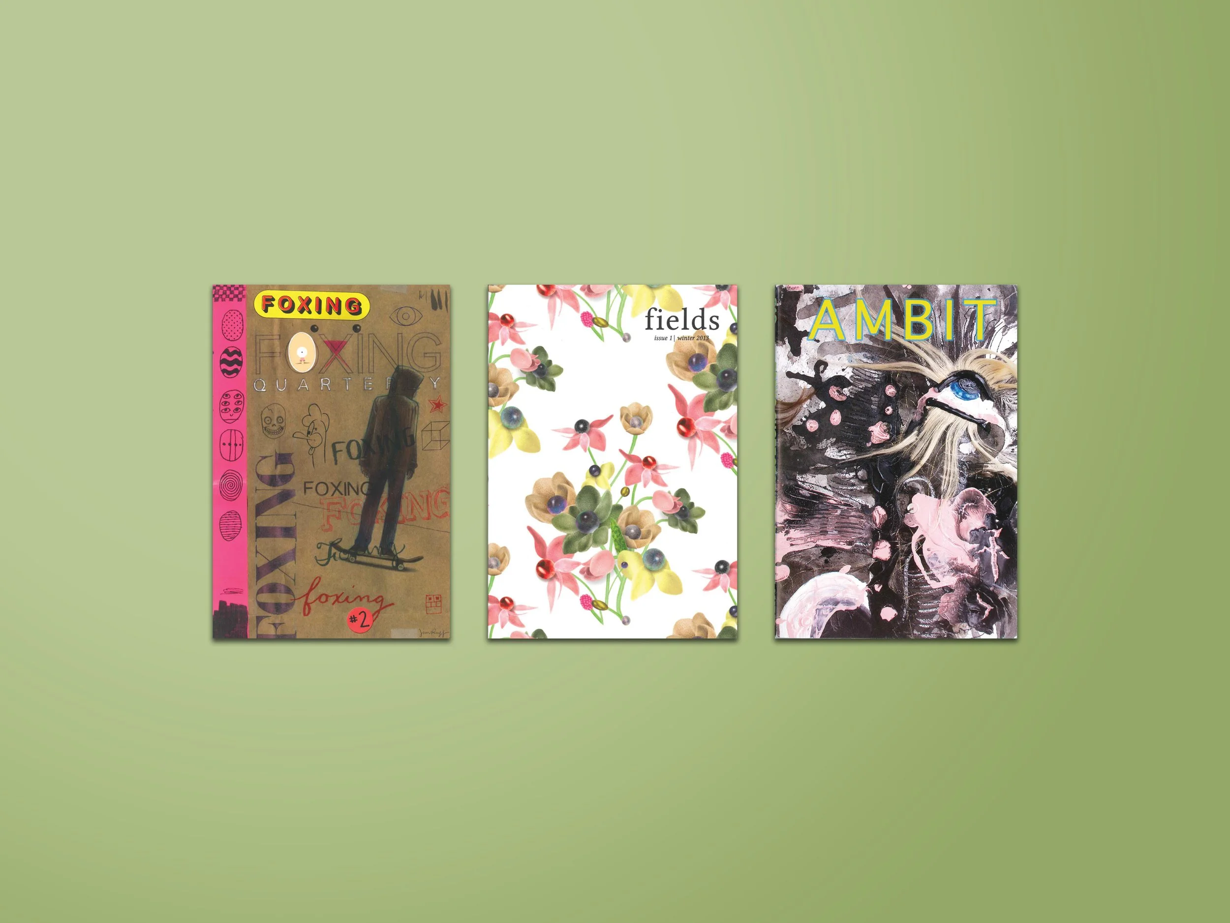 Three art magazines on a green background. The first features a skateboarder in silhouette with colorful graphics, titled "FOXING." The second has a floral pattern with the word "fields" and a smaller subtitle, "issue 1 winter 2019." The third has an