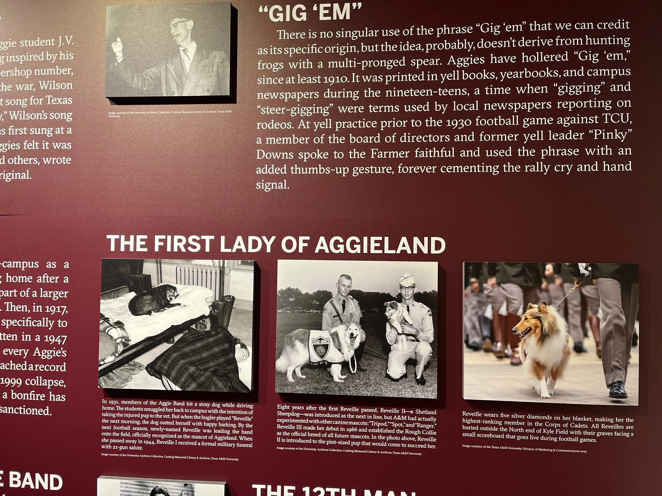 Historical display of the origins of the phrase 'Gig 'em' with a photo of a man in sunglasses and a suit. Also features photos of Aggieland's first lady, including a dog lying on a bed, a service dog with two police officers, and a collie dog in a pa