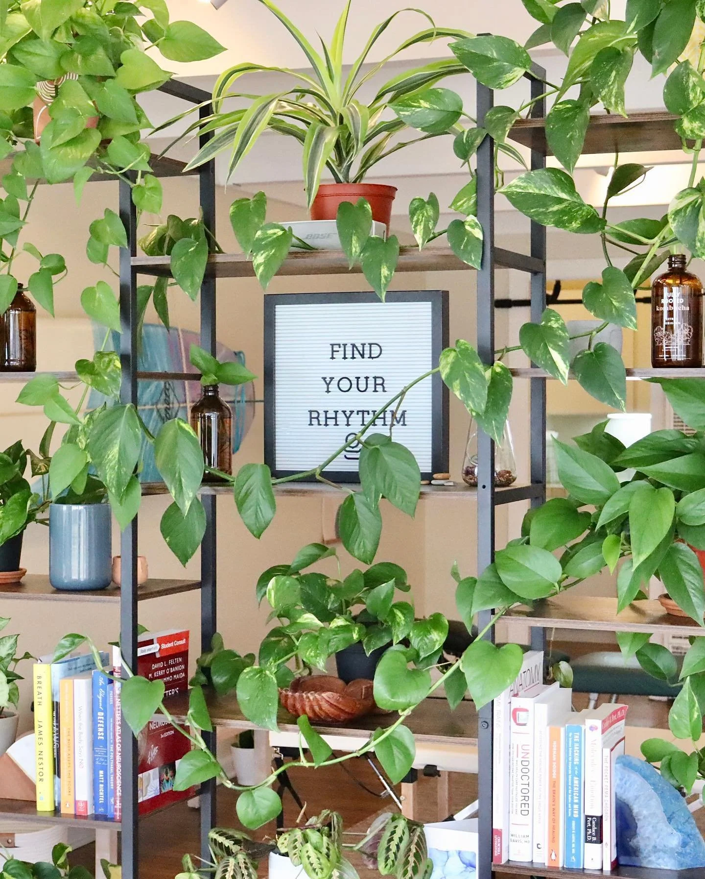 Big news!!! 🎉 

🌀 Rhythm is expanding! 

The dream has always been a health center/collective and the first steps on that journey are here. 🌊 🌊 

🥁 Introducing:
1) heheh it&rsquo;s me
2) Vega Bluem, Physical Therapist
3) Erika Linton, Pilates In