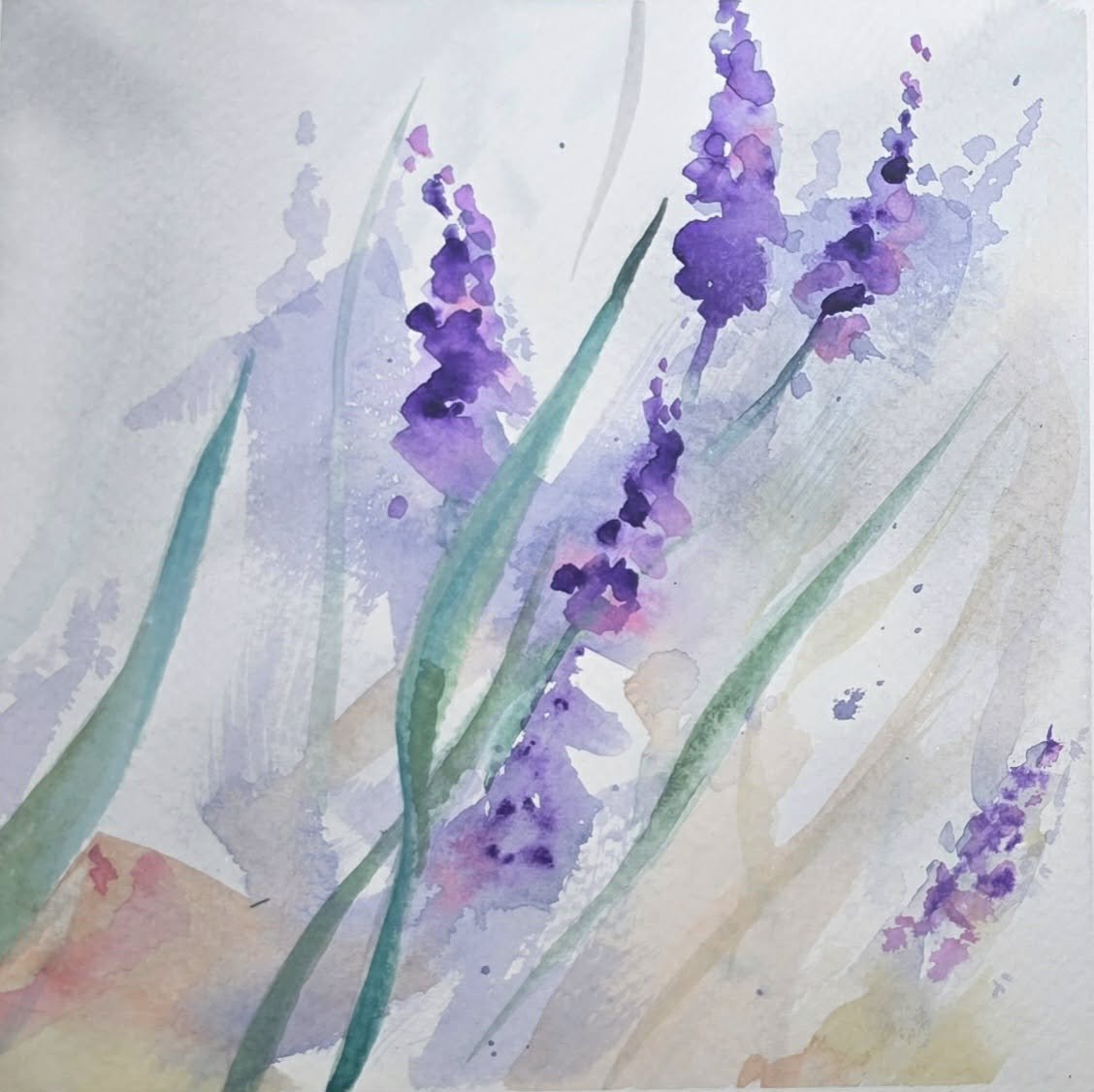 Lavender Dreams 2