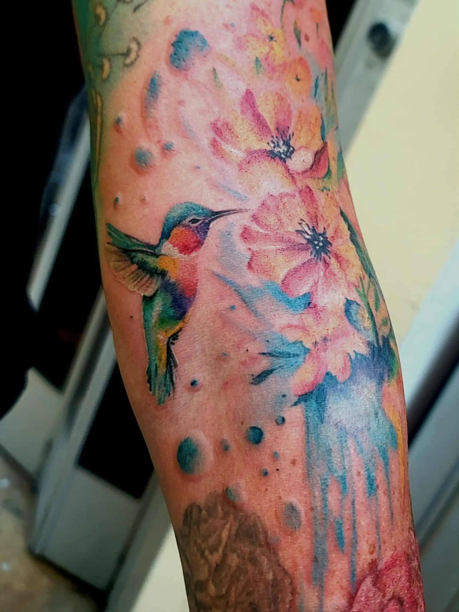 ec17928a-23e8-47d1-9233-a91061910bcd.jfif