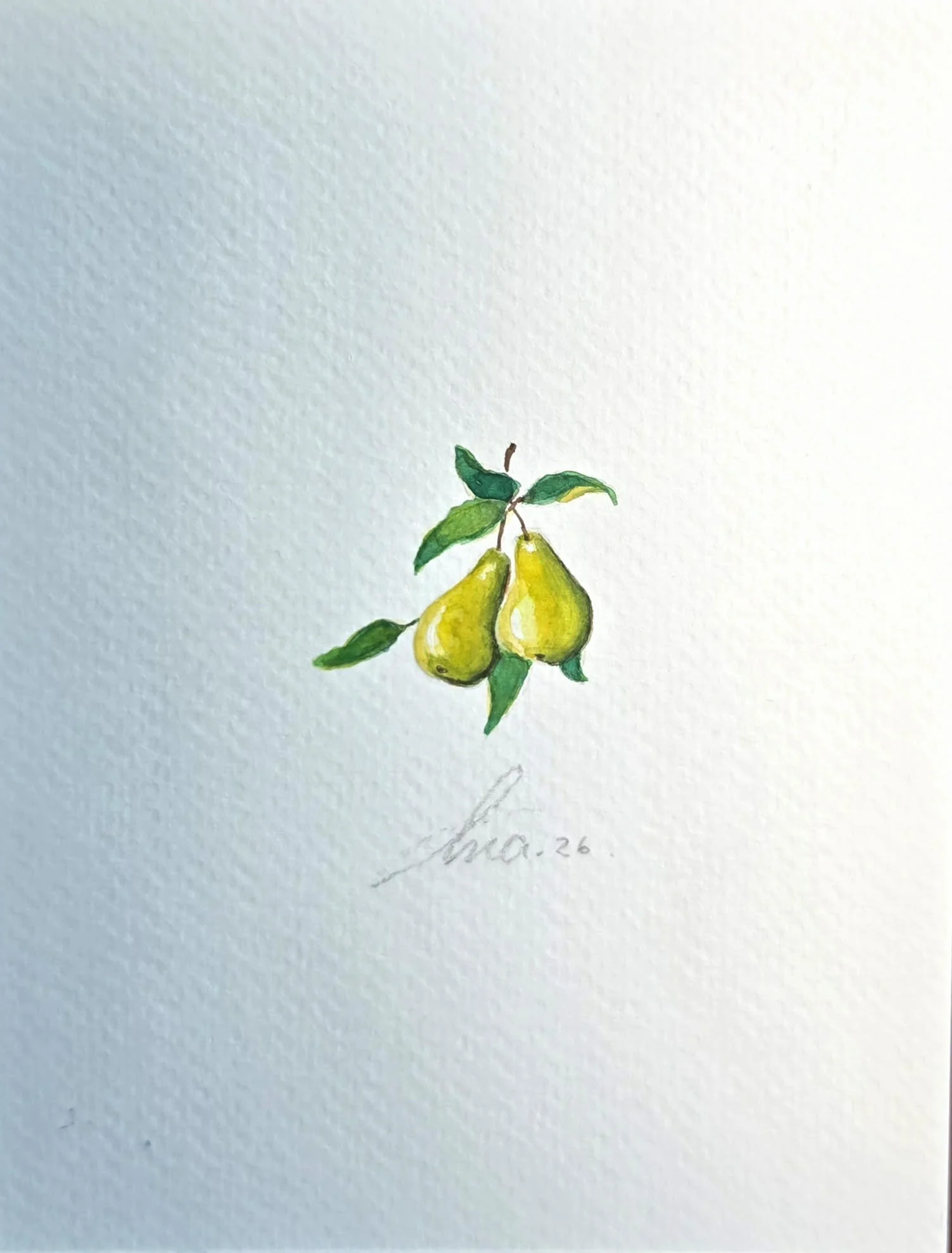 Pears