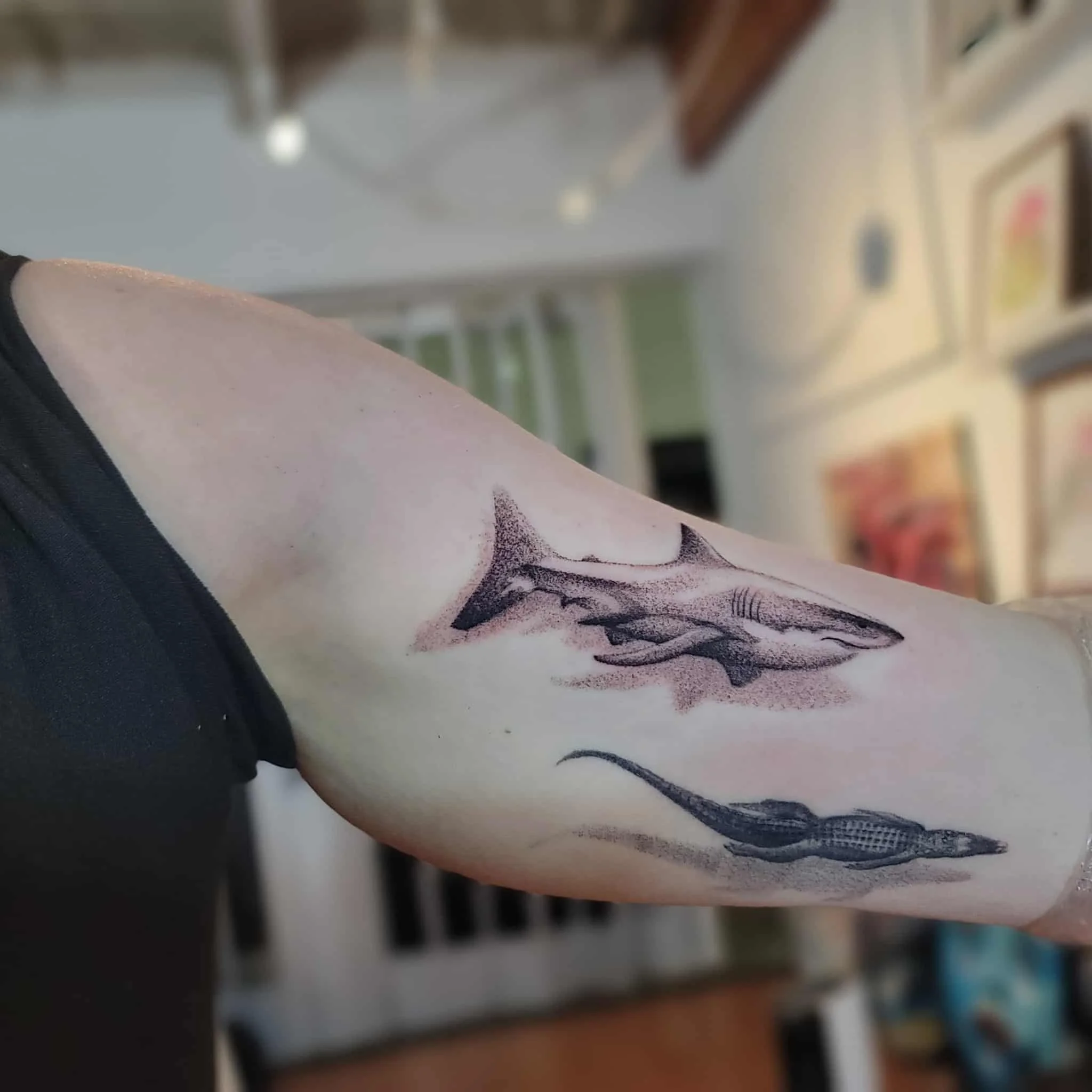 b917acfe-0bbf-4a5e-927c-5089286e19f5.jfif