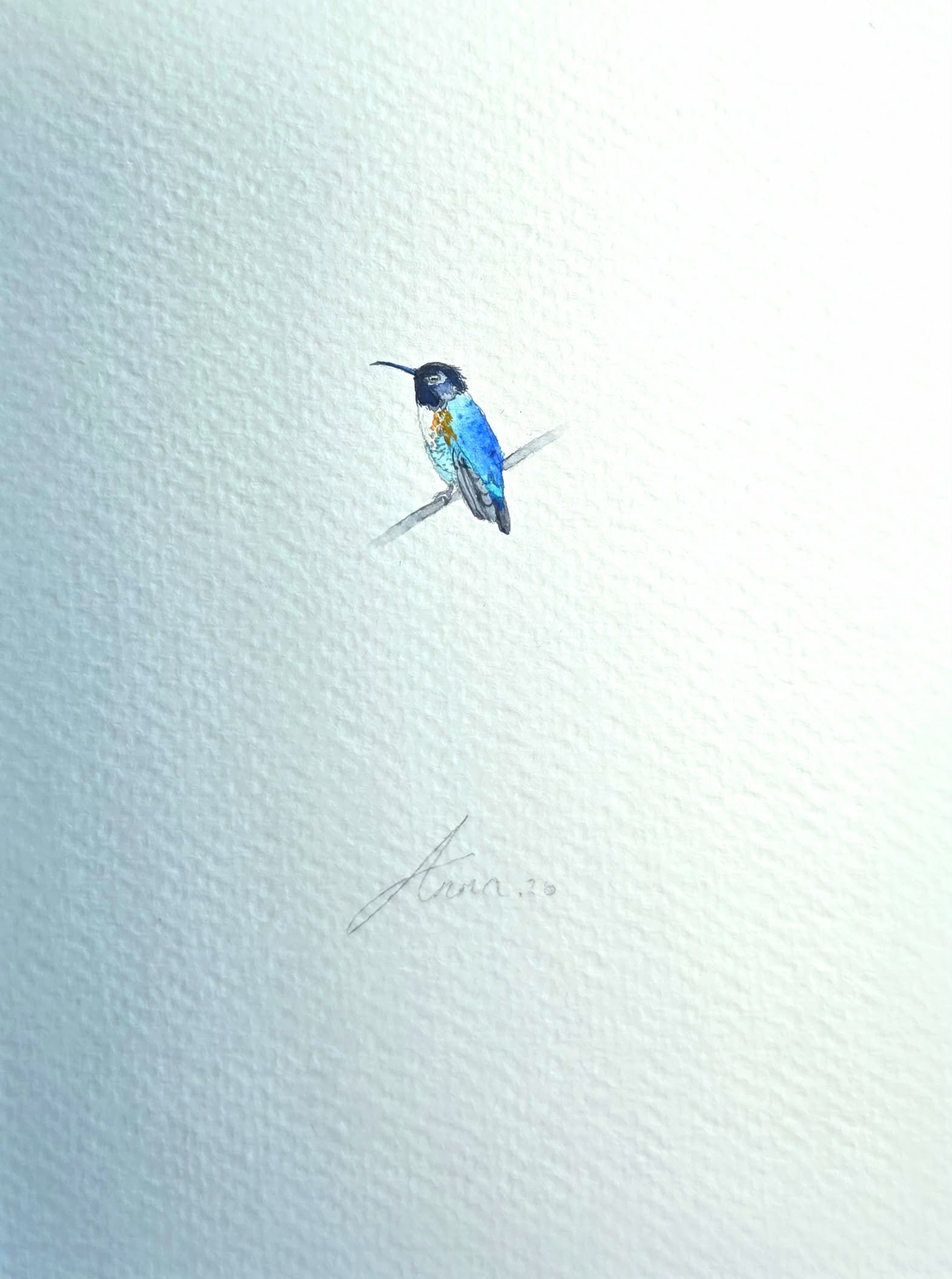 Micro Watercolour Hummingbirdd
