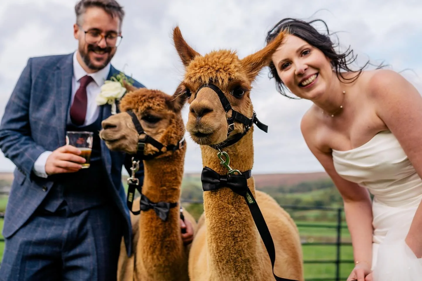 Yvonne + Dan braved the storm! It was a bloody windy one yesterday 🌬️🍃💨 🦙 What a day!!