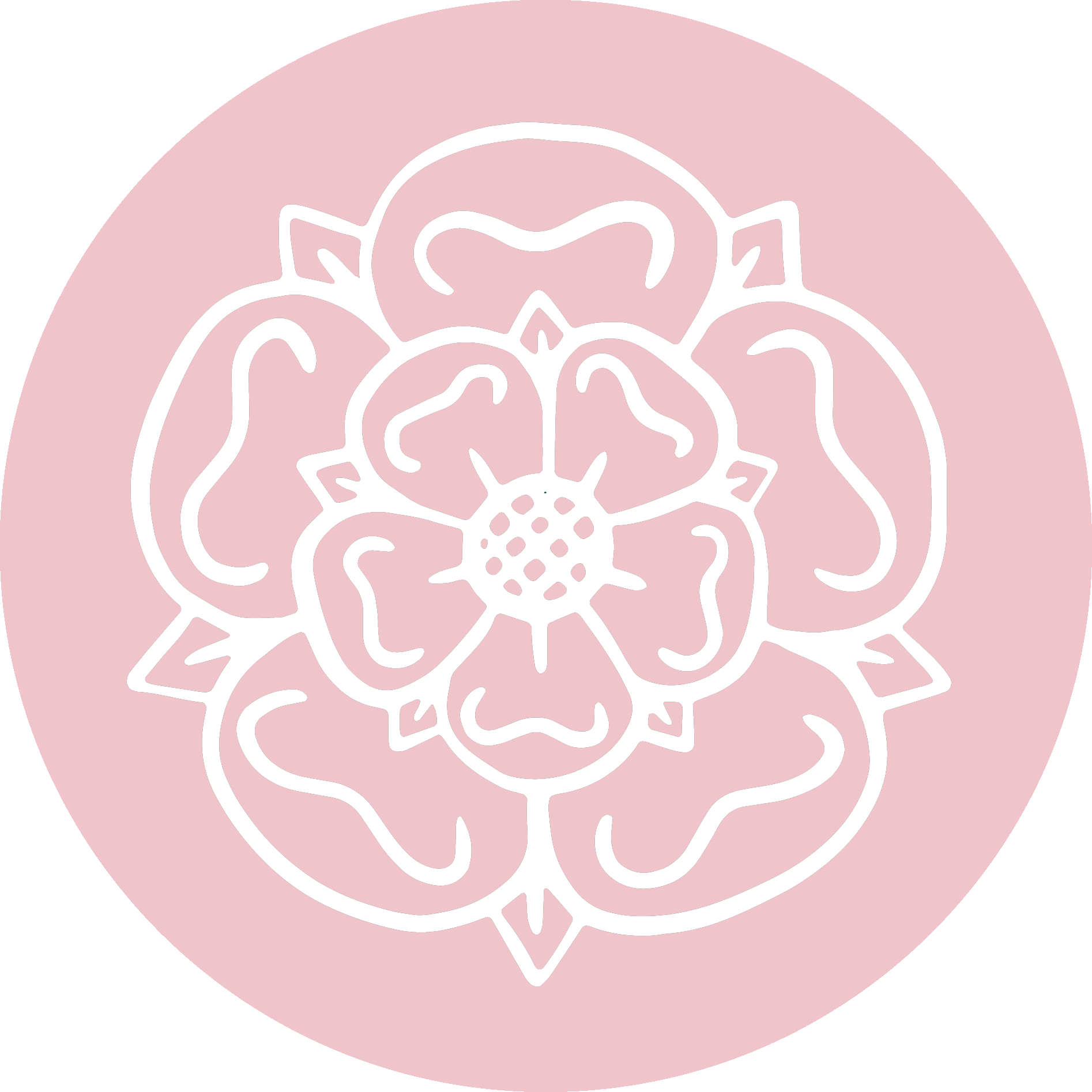 Outline of a white rose on a pink circular background.