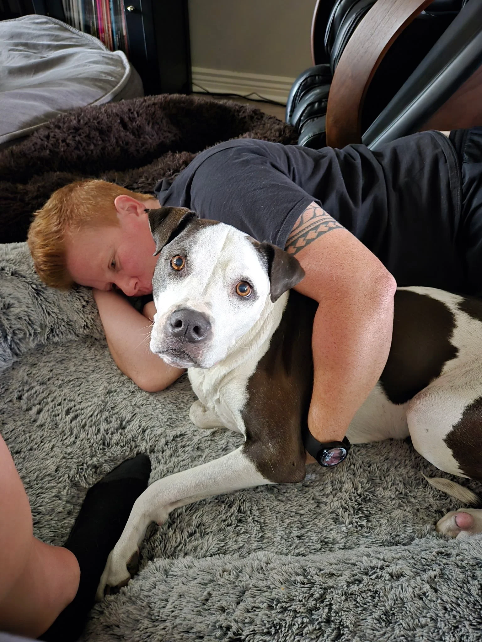 Overnight Dog-Sitting