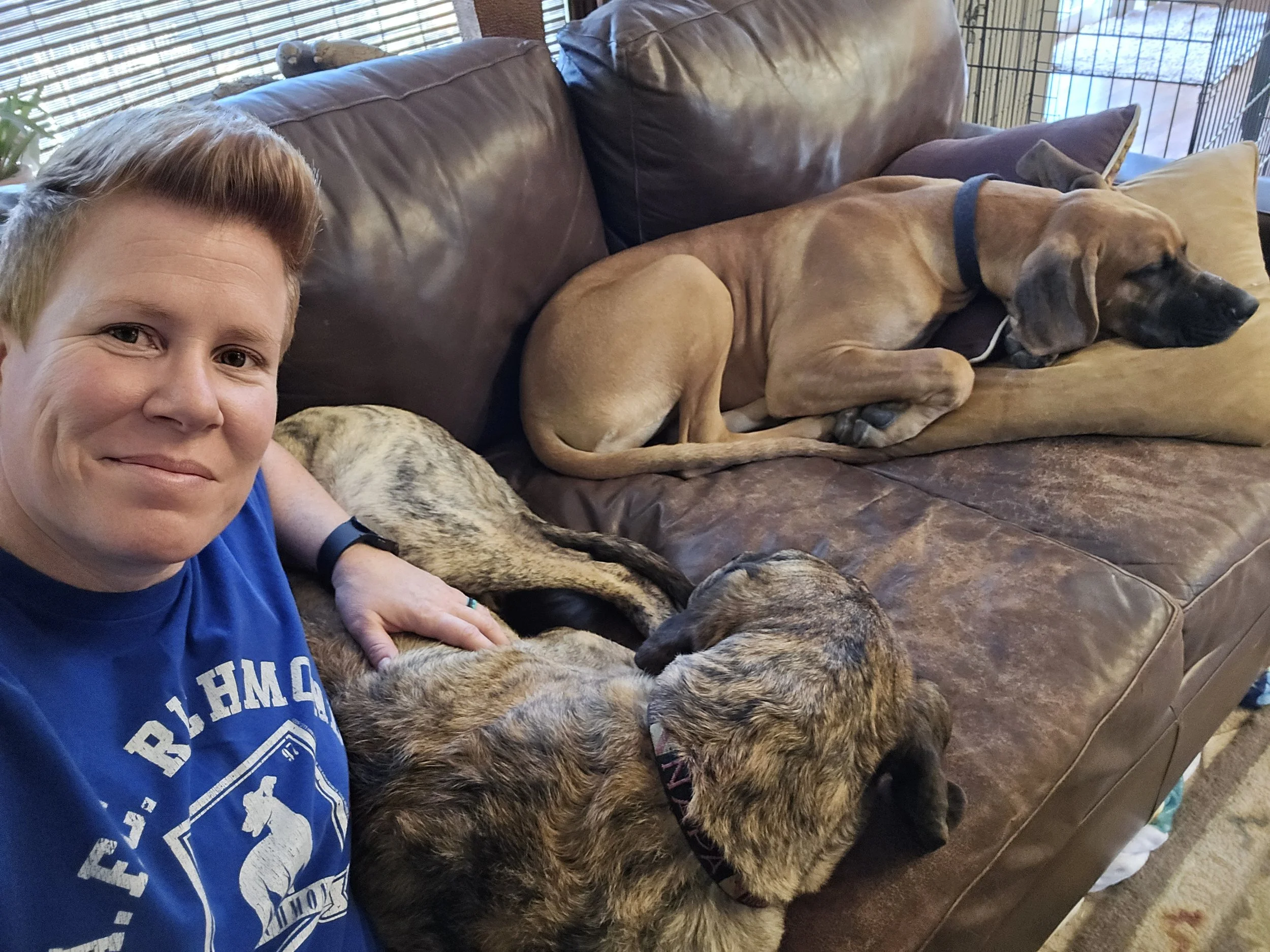 Additional Dog (Overnight)