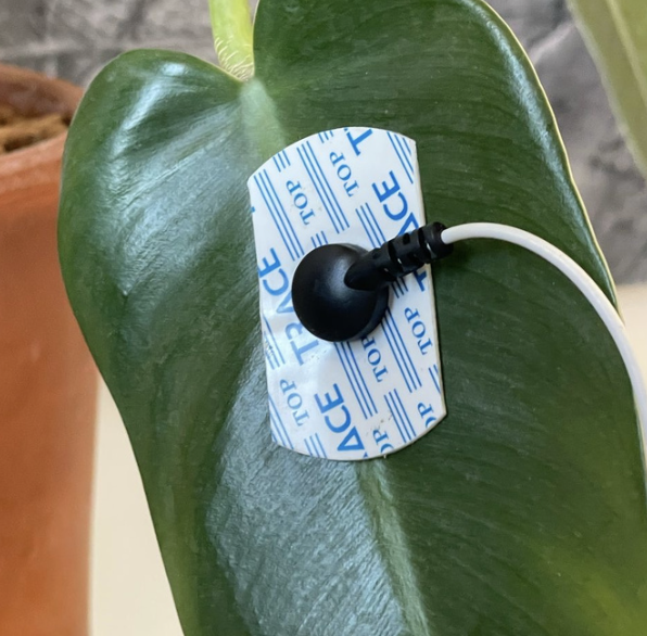 Capture d’écran 2026-02-17 à 10.19.45.png