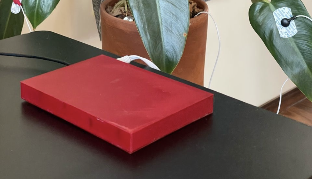 Capture d’écran 2026-02-17 à 10.19.40.png