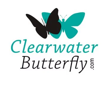 Logo featuring a butterfly with black and turquoise wings and the text "Clearwater Butterfly.com".