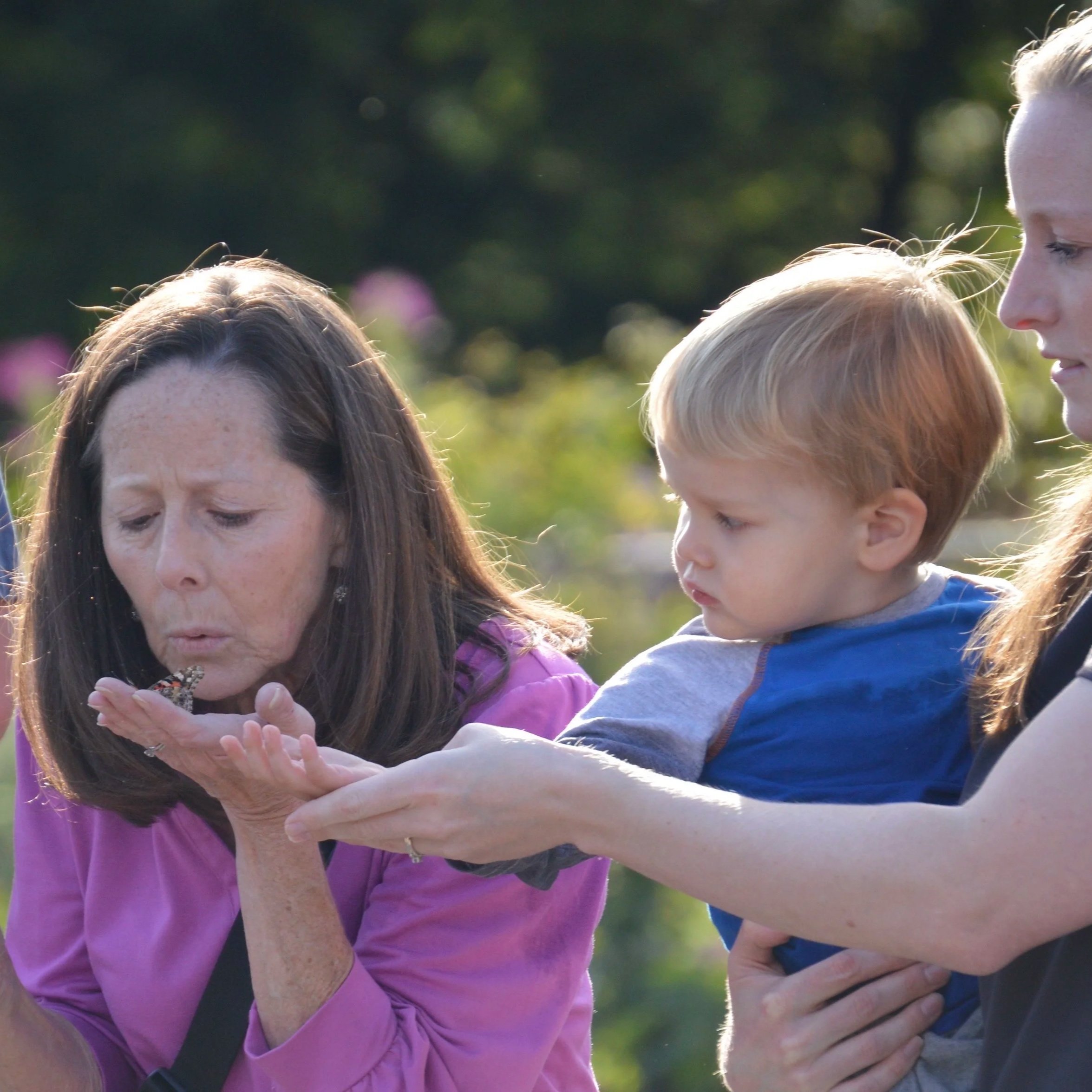 Three people outdoors—an older woman blowing a butterfly on her hand, a young boy watching intently, and a woman holding the boy. Background of trees and greenery.