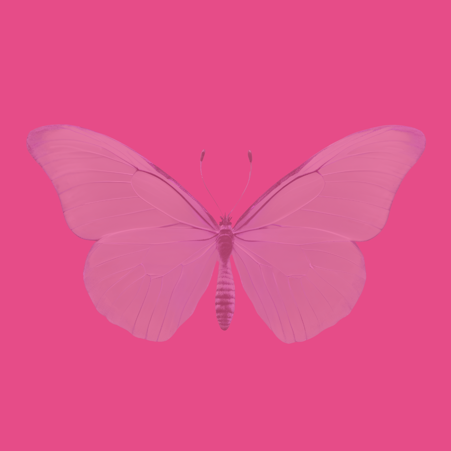 Susan Mahfouz Cercone
Dallas, TX
1999