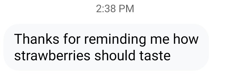 A text message on a phone screen that says, 'Thanks for reminding me how strawberries should taste'.