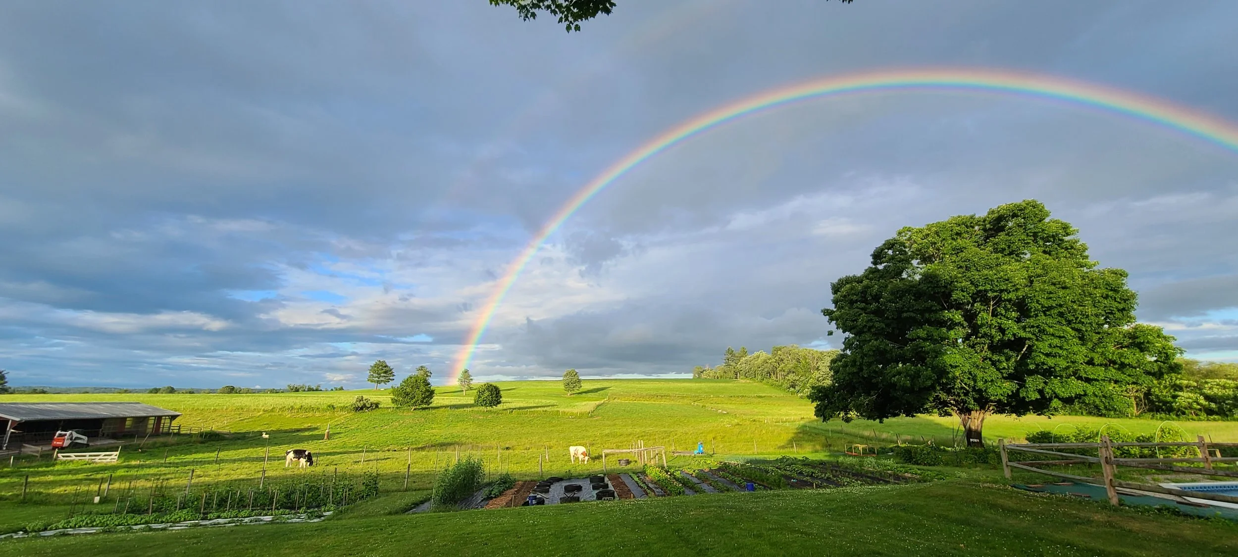Farmstand Opens for the Season!