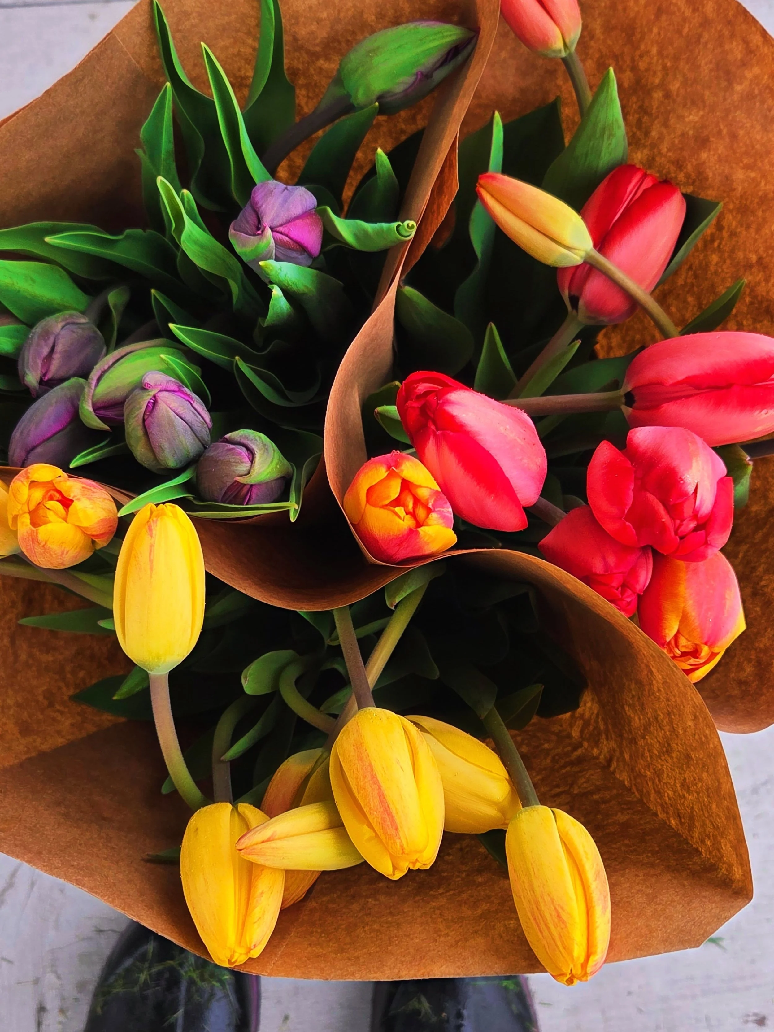 Tulip time on the farm 🌷
Find your bunch at the Farmstand all weekend long!