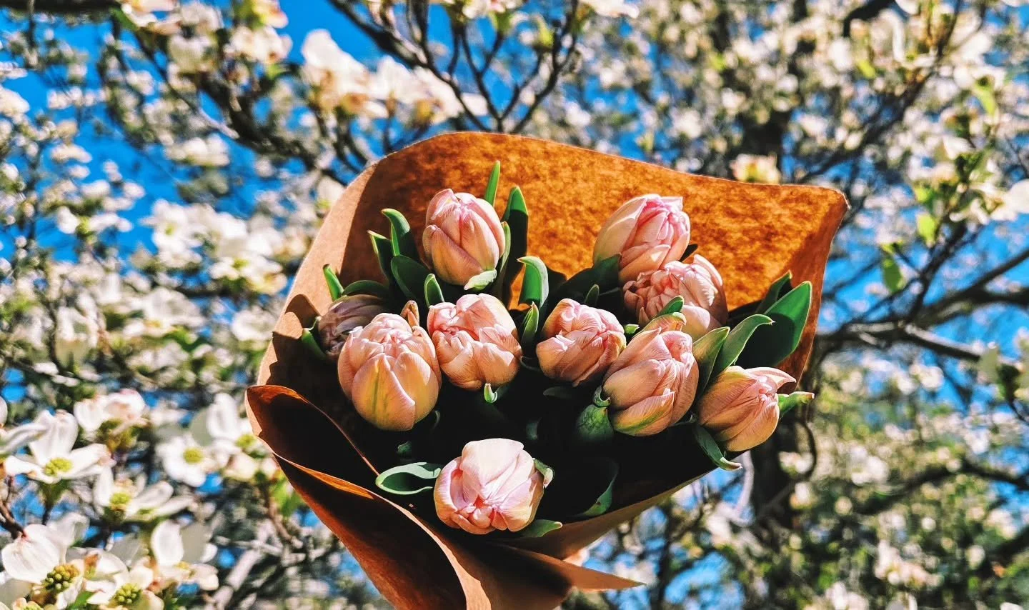 Most likely the last weekend for tulips, and very convenient, its perfect timing for Mother's Day!

Where will we have tulips?
🌷 at the farmstand 
🌷 at the woodstock business show at the fairgrounds this Saturday (8:30-12)

Looking to give the gift