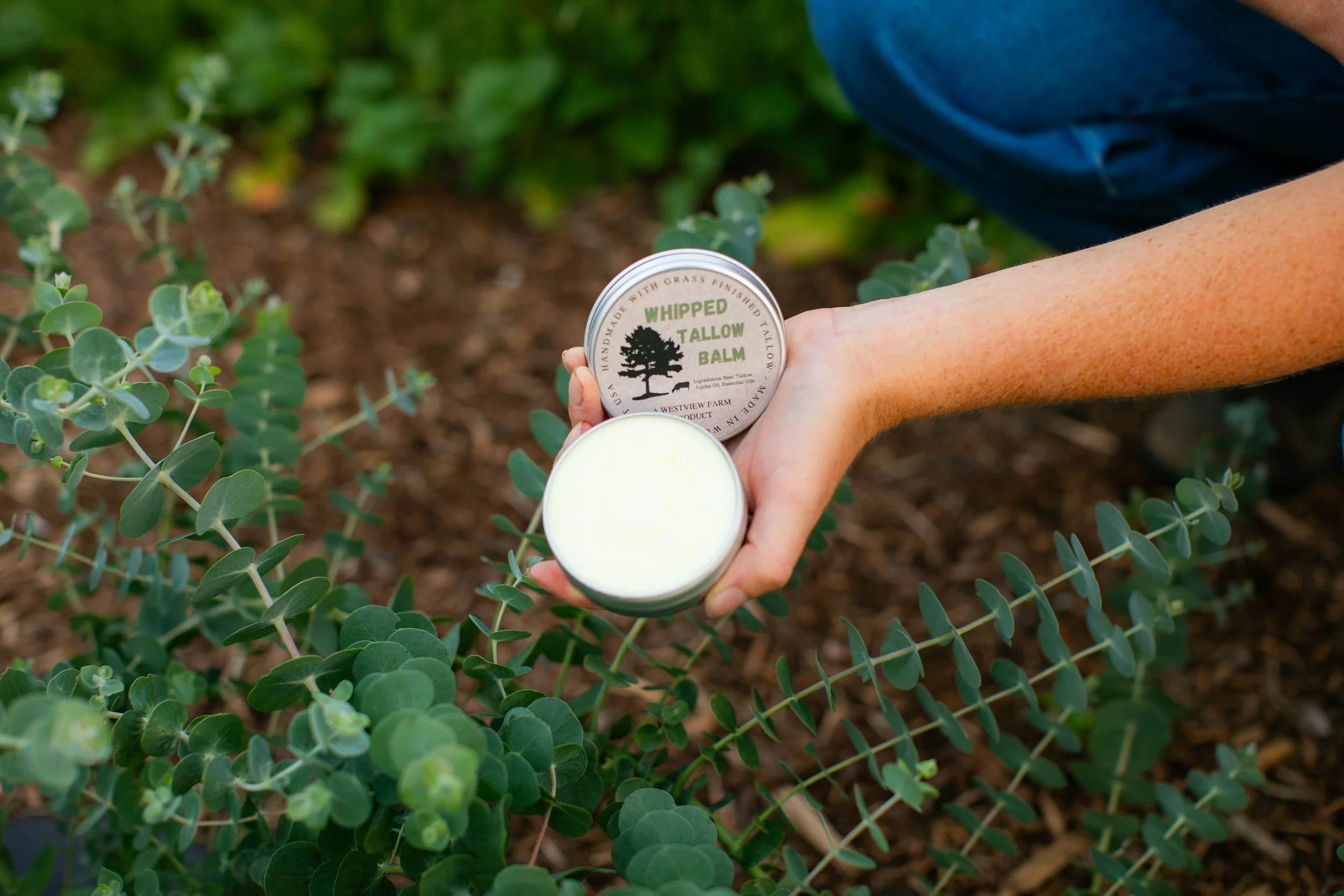 A person's hand holding a tin of whipped tallow balm with the lid open, showing the balm inside, in a garden with green plants and soil.
