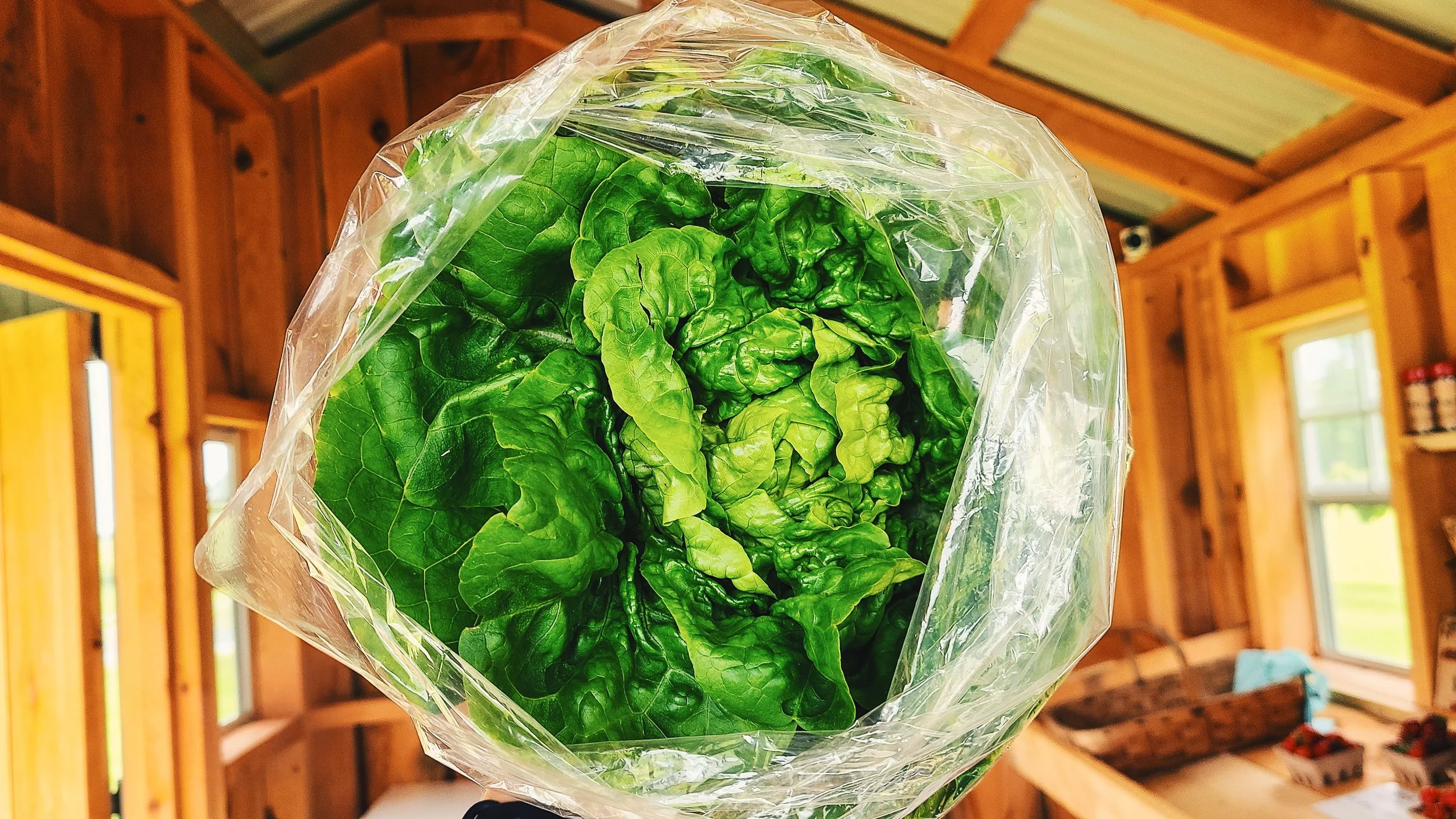 20250614_102547 (1).jpg