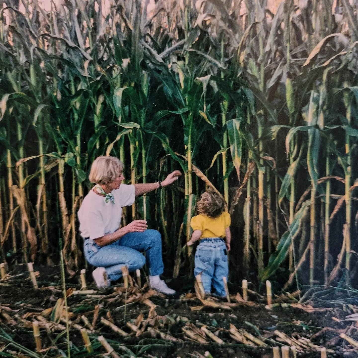 A woman and a young girl in a cornfield. The woman is sitting on the ground, reaching out to the plants, while the girl stands nearby, looking at the tall corn stalks.