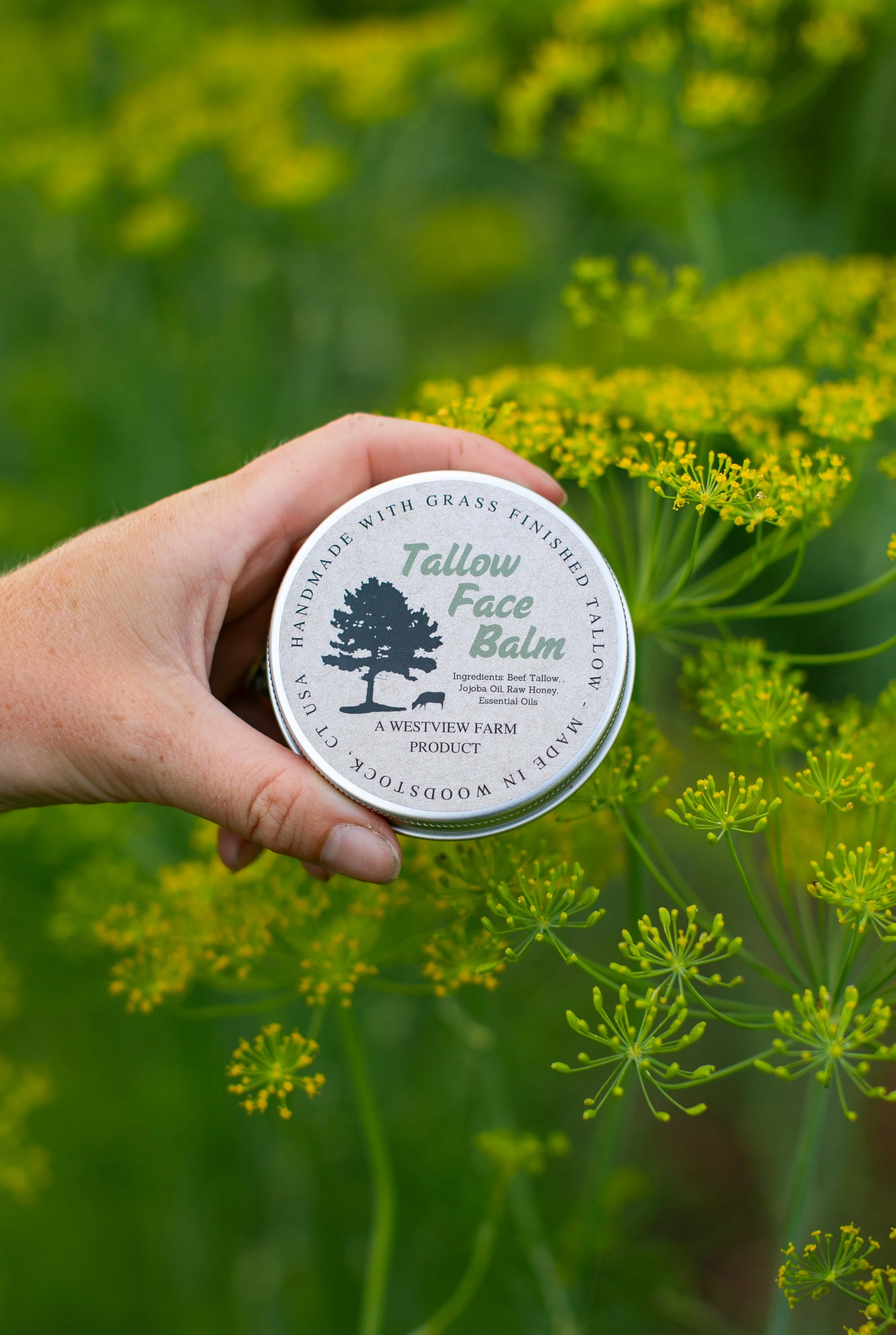 Whipped Tallow Face Balm - Warm Honey