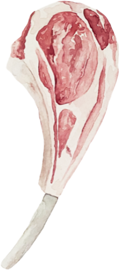 Watercolor illustration of a raw steak on a bone.