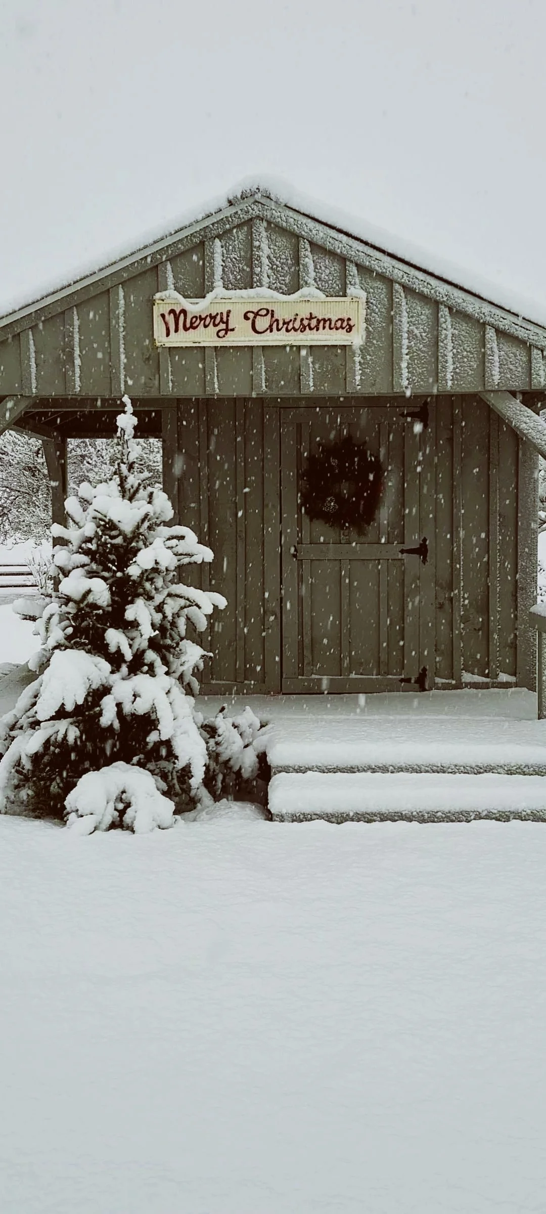 A wooden barn covered in falling snow, with a small snow-covered tree in front and a wreath on the door, and a sign that reads 'Merry Christmas' at the top.