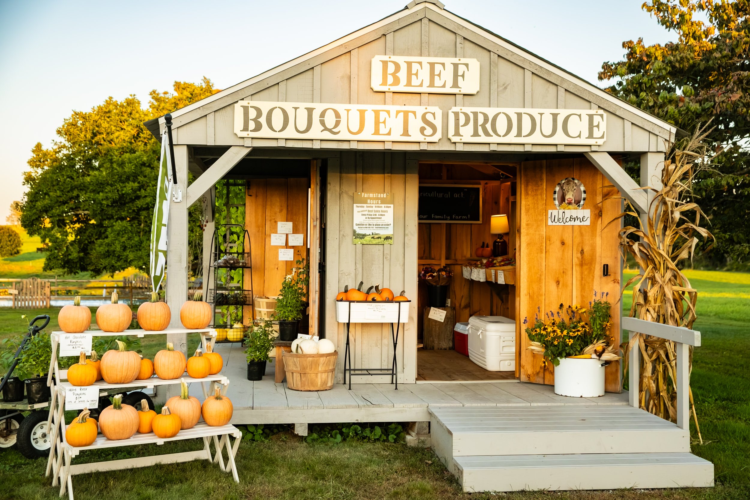 Small farm stand with pumpkins and produce for sale, featuring a sign reading 'Beef Bouquets Produce' on the building, which is surrounded by green trees and grass.