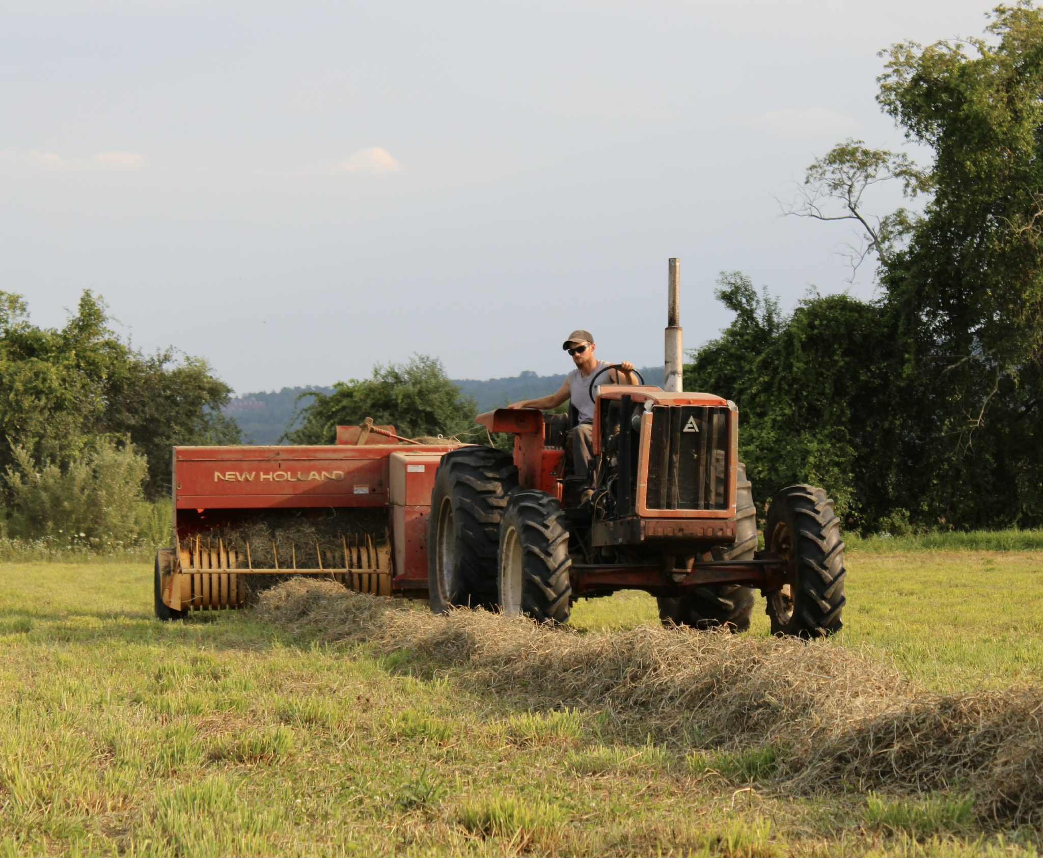 A man driving a red New Holland tractor pulling a hay rake across a grassy field with trees in the background.