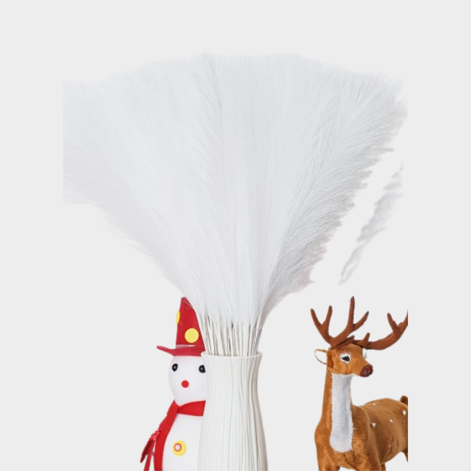 connect-event-location-CE0084-pampas-blanches-54-cm.png