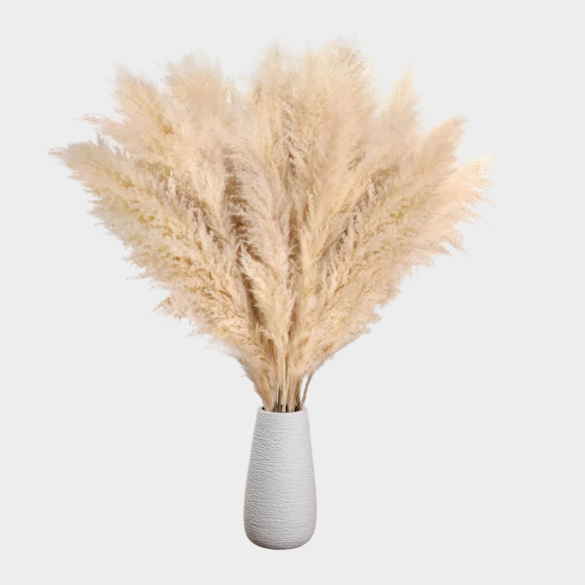 connect-event-location-CE0083-pampas-beiges-100-cm.png