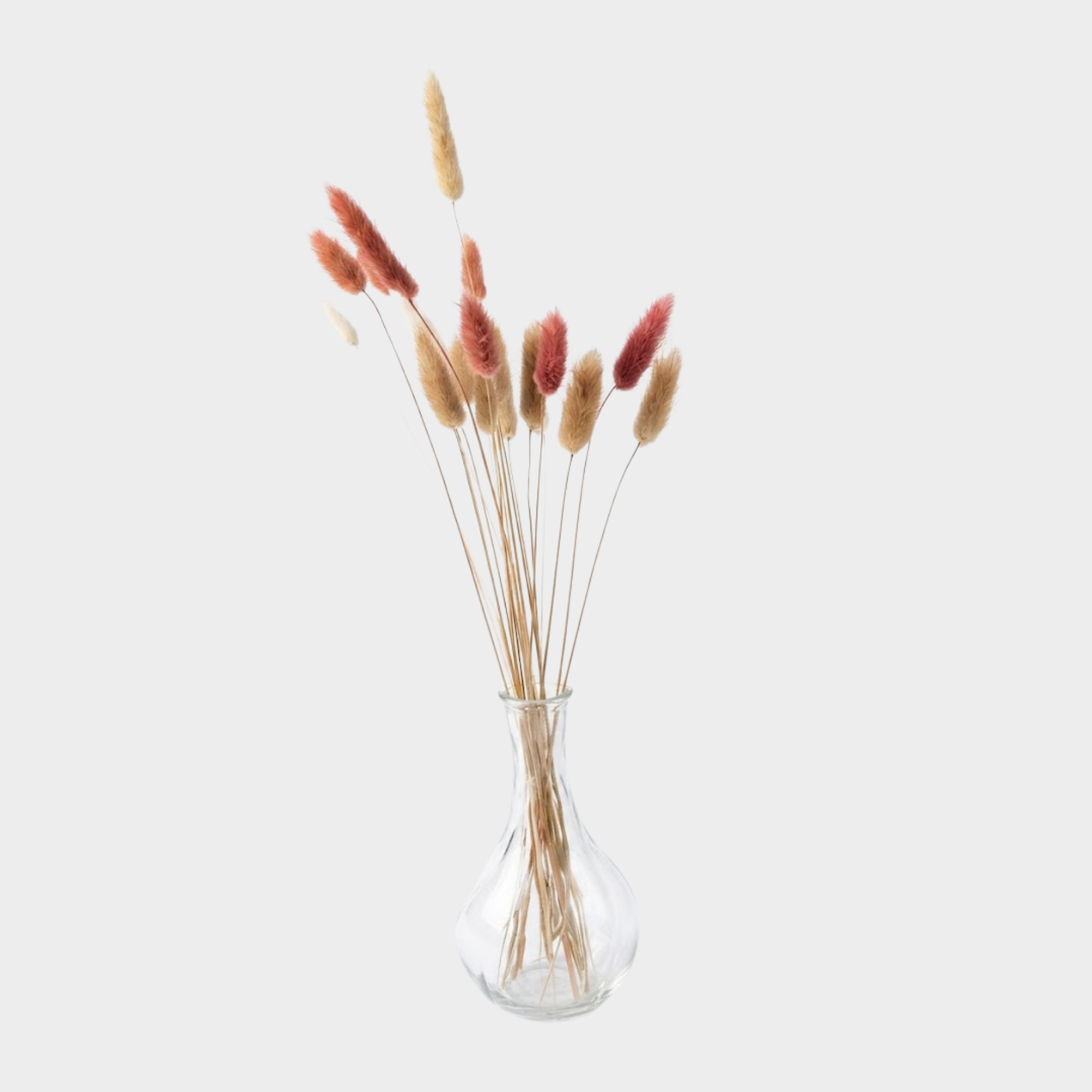 Plantes sechées