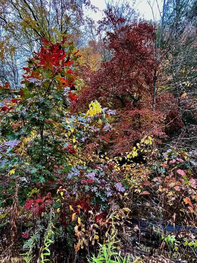 Autumn Puzzle