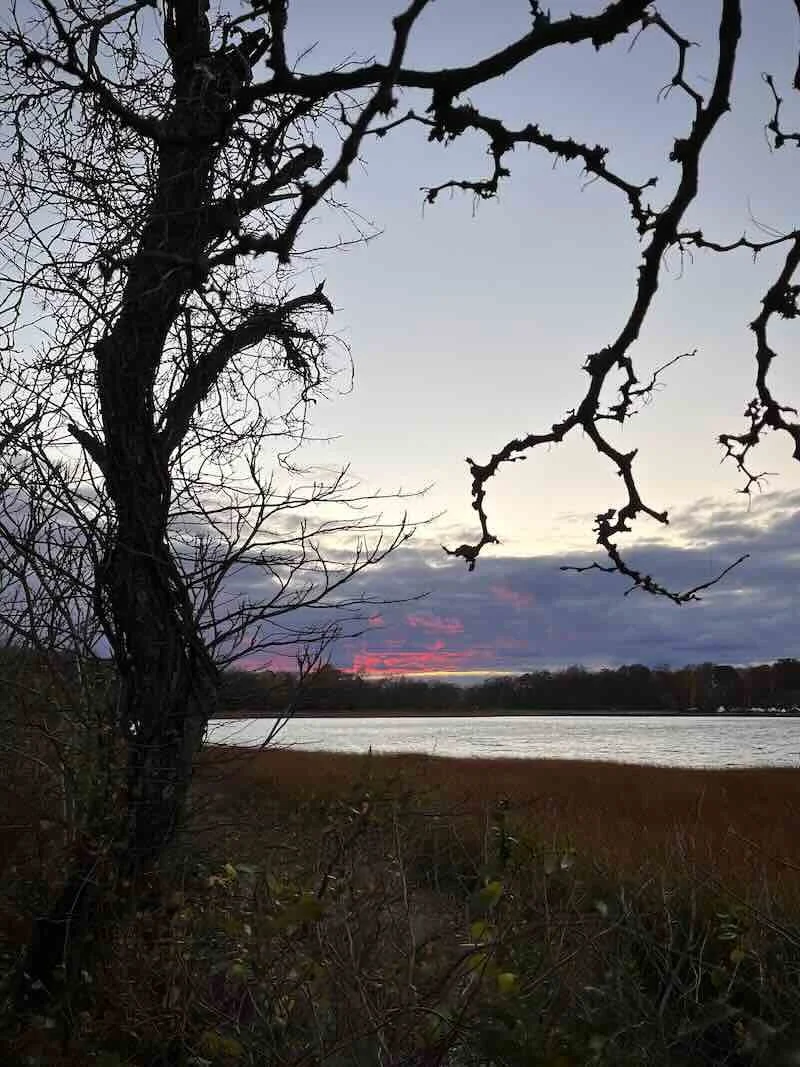 The Park Closes at Sunset LoRes.jpeg