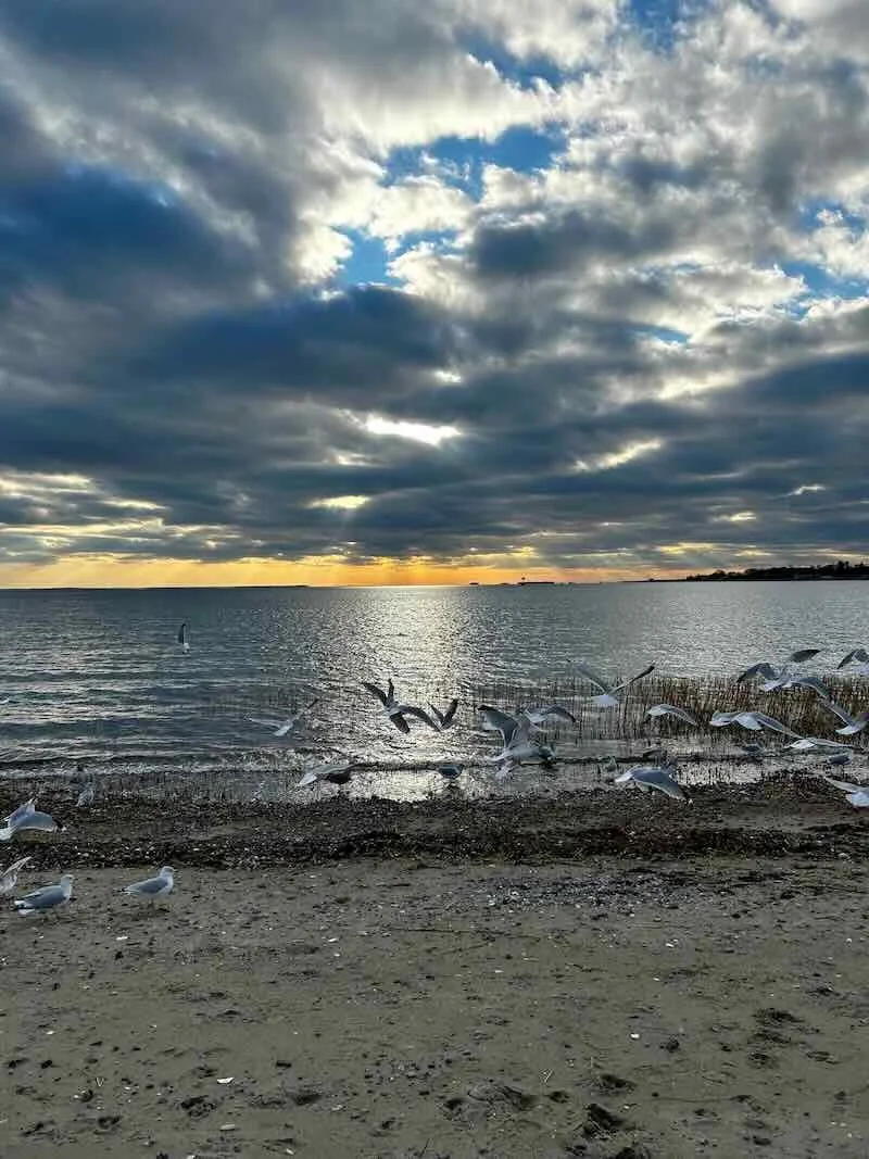Sunbeams and Seagulls at Sasco LoRes.jpeg