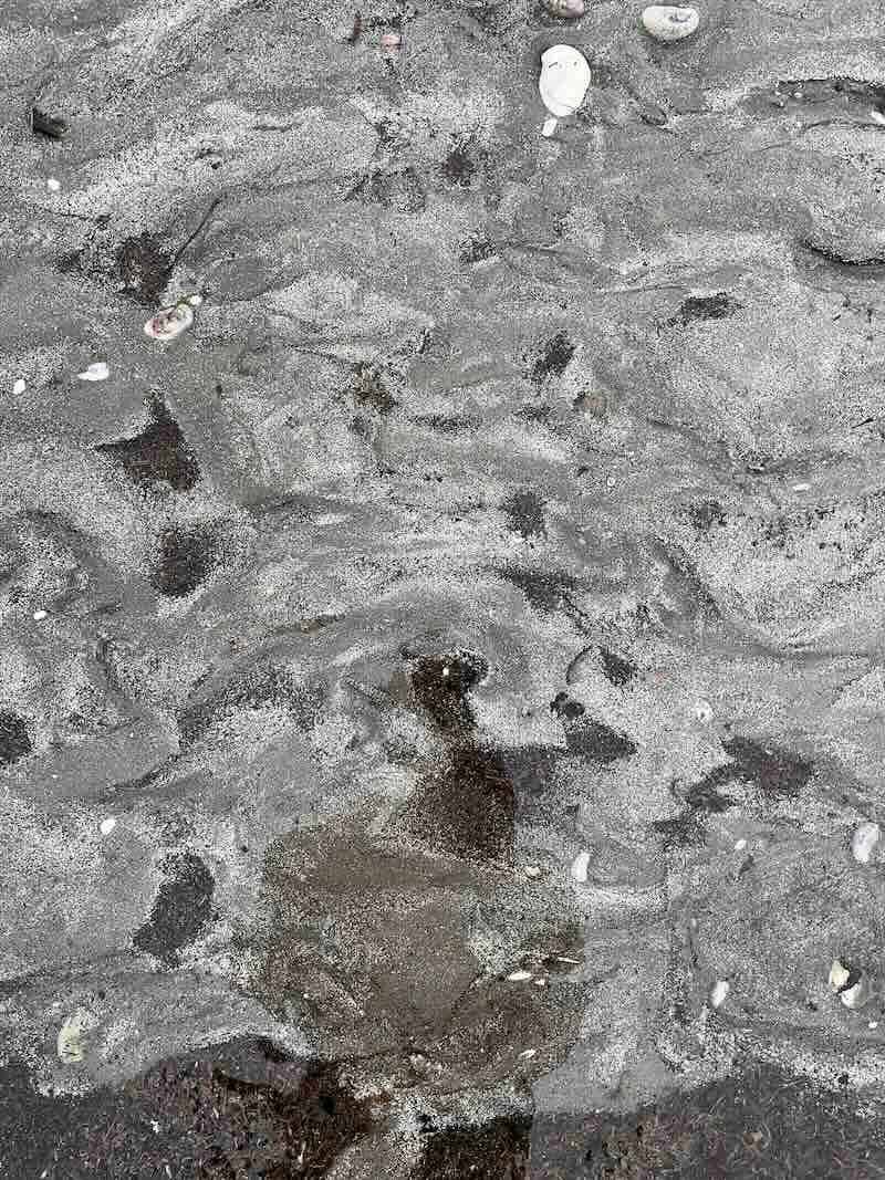 Sand with Mica