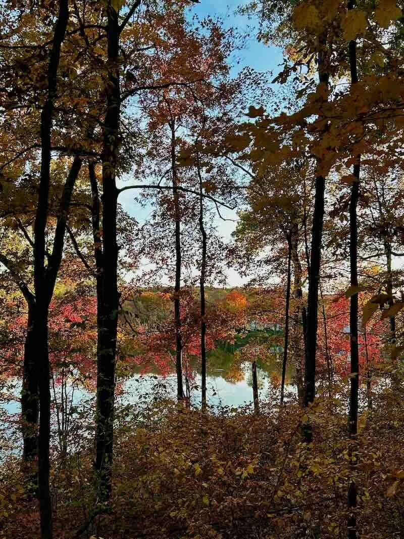 Pond with Autumn Trees
