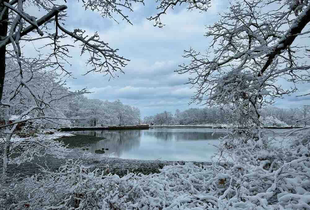 Winter Pond at Tod's LoRes.jpeg